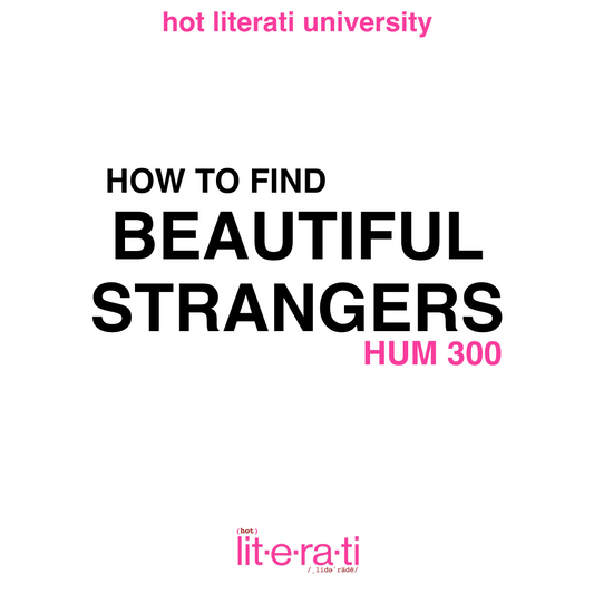HUM 300: HOW TO FIND BEAUTIFUL STRANGERS